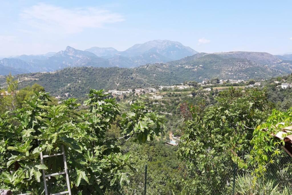 Mon Petit Paradis Saint-Blaise  Buitenkant foto
